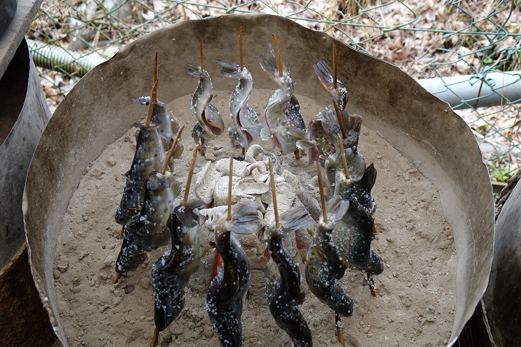 魚の塩焼き さばき方と串うちを紹介 ニジマス ヤマメを美味しく食べる 日々是学びなり