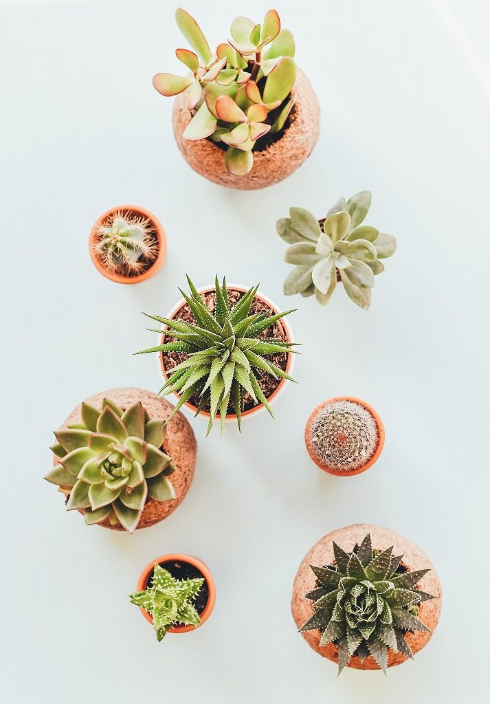 Photo by Annie Spratt on Unsplash
